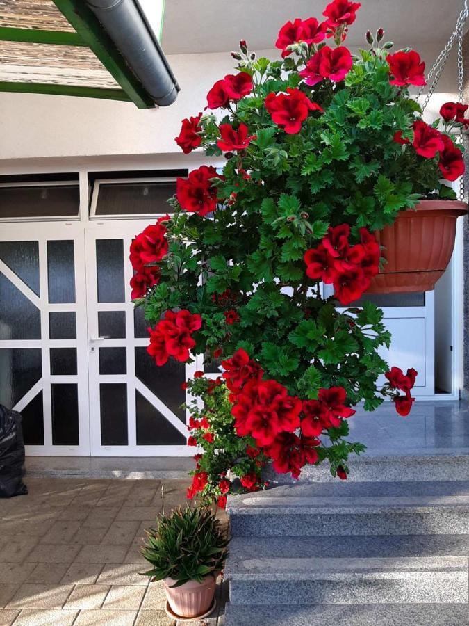 Apartment Bracic Vodice Exterior photo